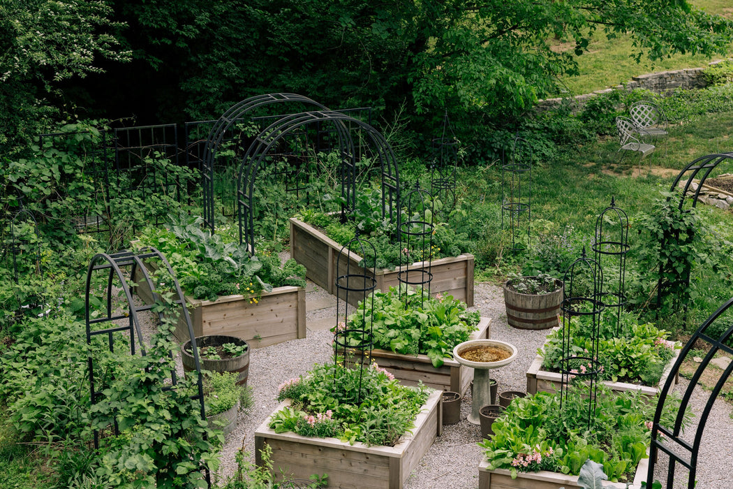 Gardenary Cedar Raised Garden Beds with Trim