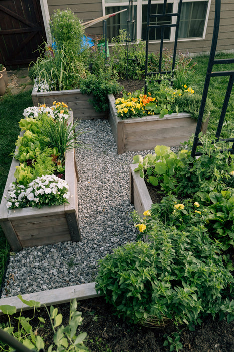 Gardenary L-Shape Cedar Kitchen Garden Raised Bed