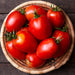 Fresh ripe red Roma tomatoes in a rustic wicker basket. Delicious garden produce for healthy cooking.