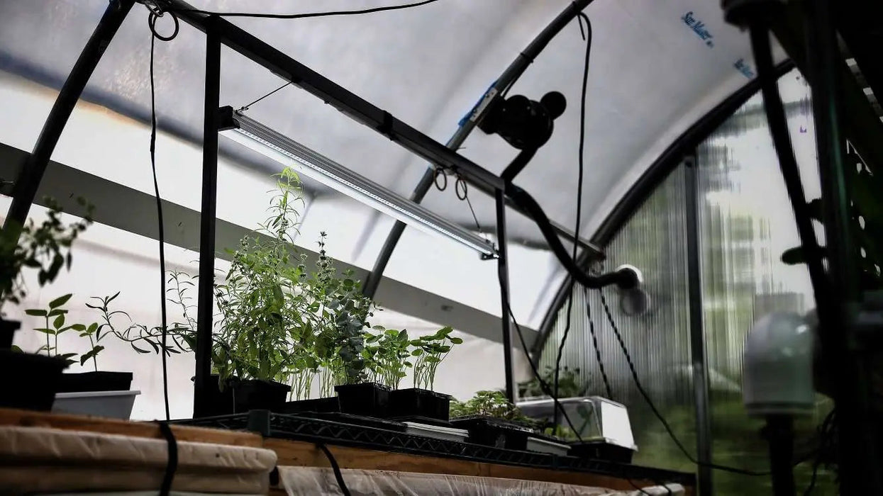 LED Strip Grow Lights - 48"