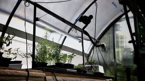 LED Strip Grow Lights - 48"