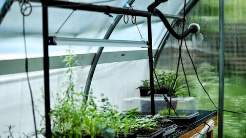 LED Strip Grow Lights - 48"