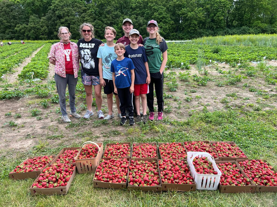 Strawberry Success Kit