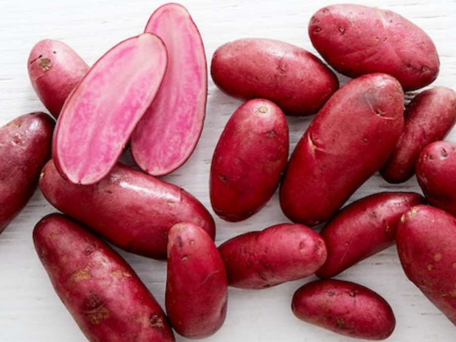 Amarosa Fingerling Seed Potato
