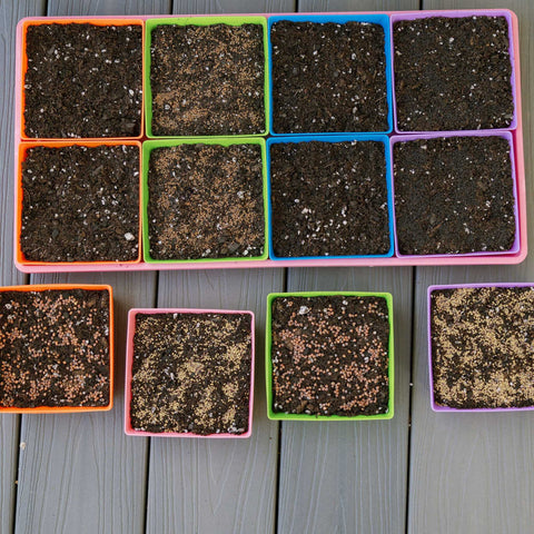 5X5 Shallow Microgreen Trays