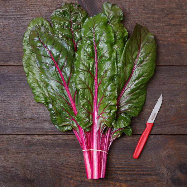 True Magenta Chard