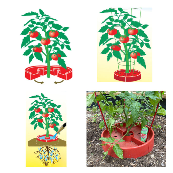 Tomato Crater Gardening Tool, 12” Red Plastic for Healthier Tomatoes 3pk