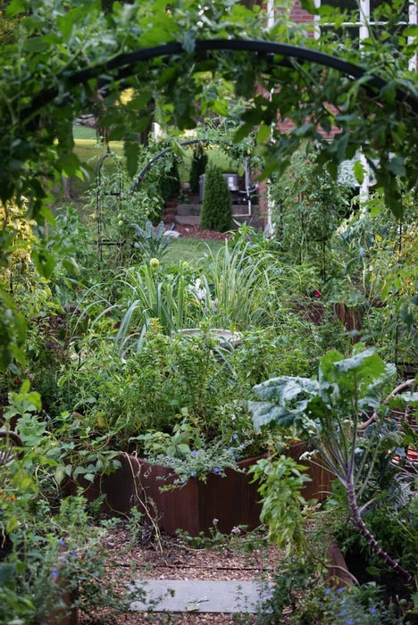 Corten Steel Raised Garden Bed