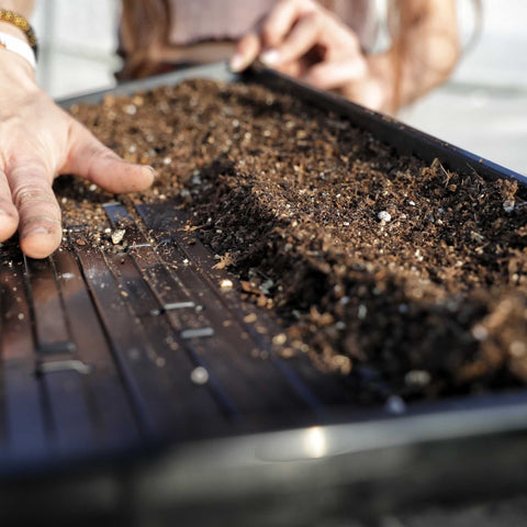 1020 Microgreen Trays - Shallow Extra Strength