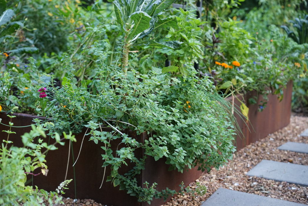 Corten Steel Raised Garden Bed
