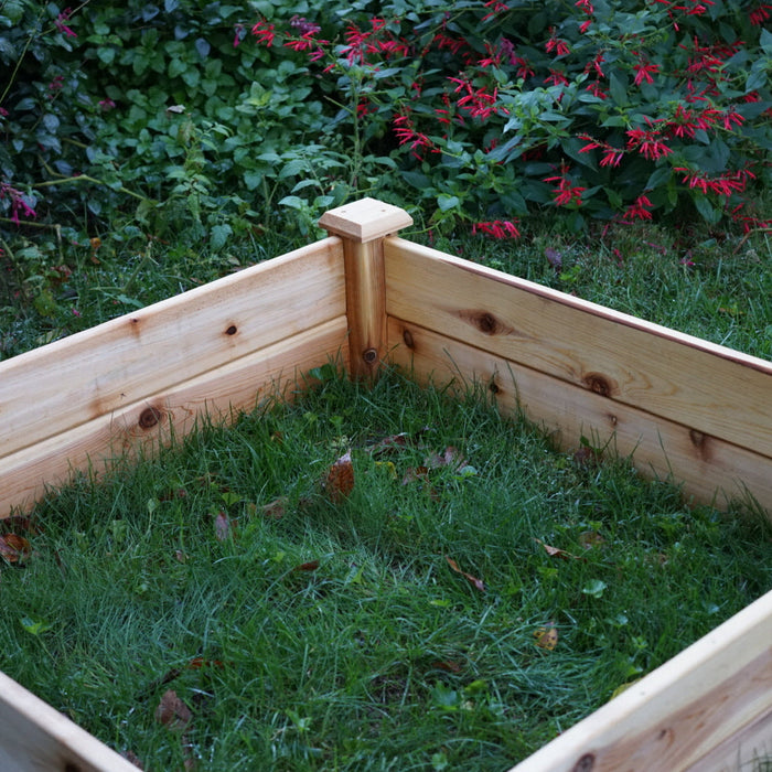 Gardenary 4x4 Starter Cedar Raised Bed