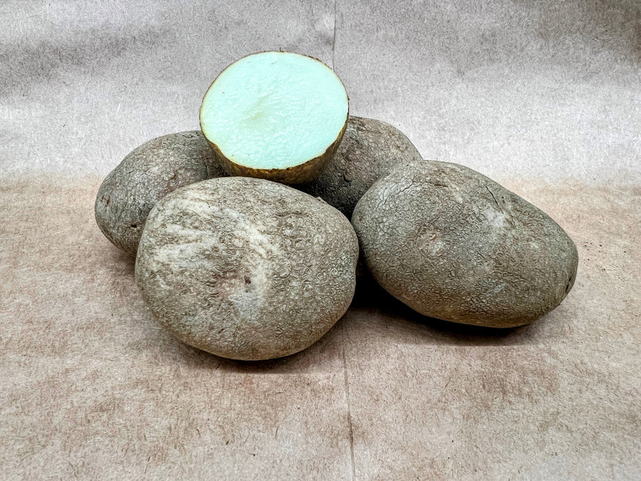 Caribou Russet Seed Potato