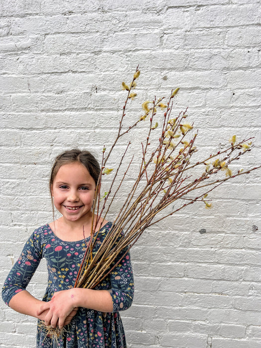 Smiling girl in floral dress holds a bundle of pussy willow catkins. White brick wall background. Spring nature.