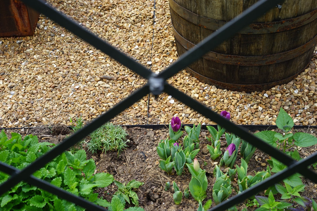 Diamond Panel Trellis