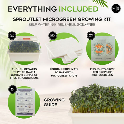Sproutlet Indoor Microgreen Grow Kit: 3-Pack