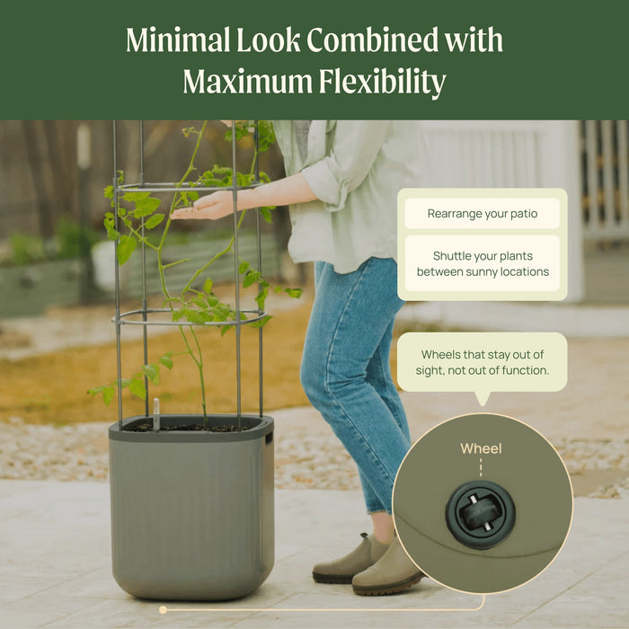 EZ Self-Watering Tomato Planter with Trellis