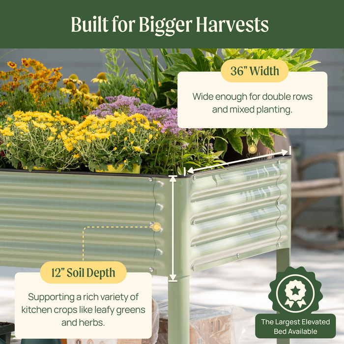 Elevated Garden Bed - Jumbo Series 3' x 8'