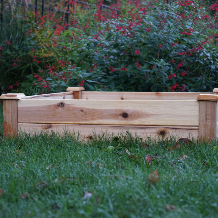 Gardenary 4x4 Starter Cedar Raised Bed
