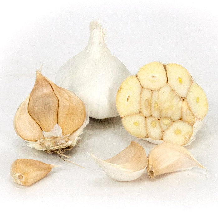 PREORDER Organic Early Purple Italian Garlic (lb)