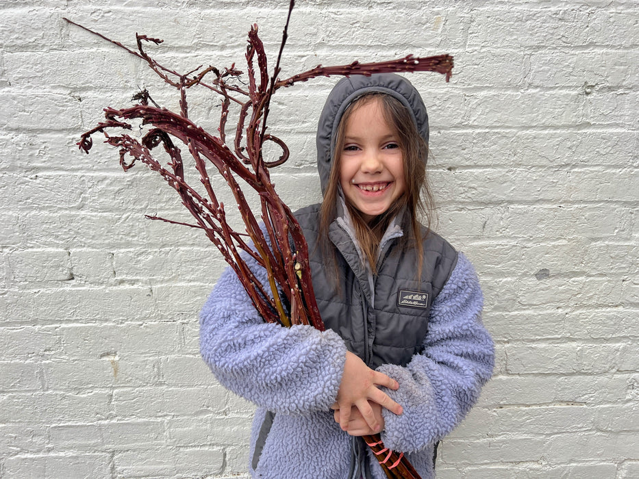 Cheerful girl in a gray/blue jacket holds budding red branches tied with pink bands, white brick wall.