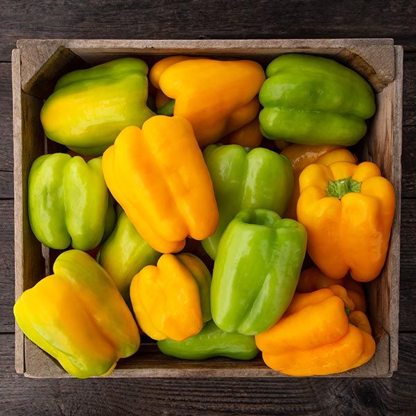 Flavorburst F1 Pepper