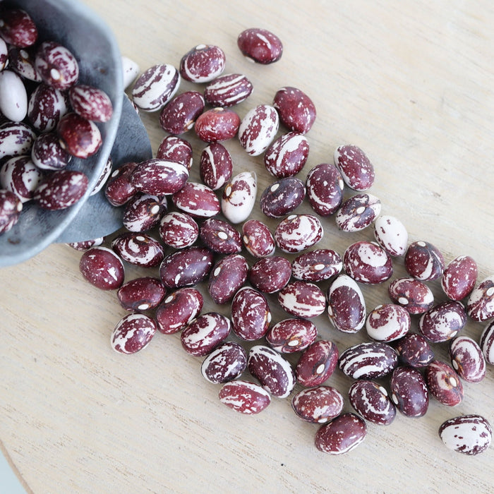 Good Mother Stallard Bean (Pole)