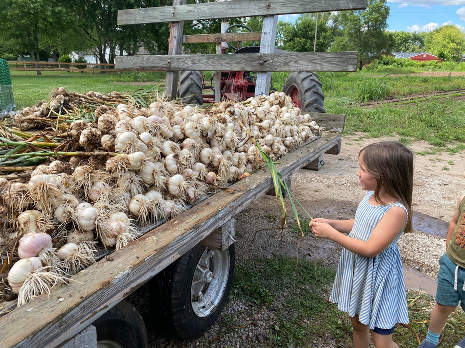 PREORDER Garlic Connoisseur's Sampler Pack