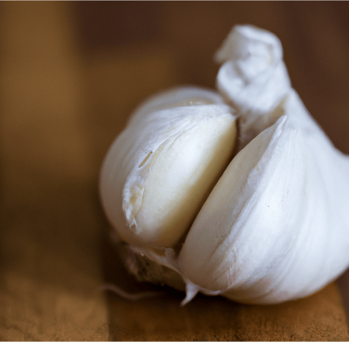 PREORDER Organic German Xtra Hardy Garlic (lb)