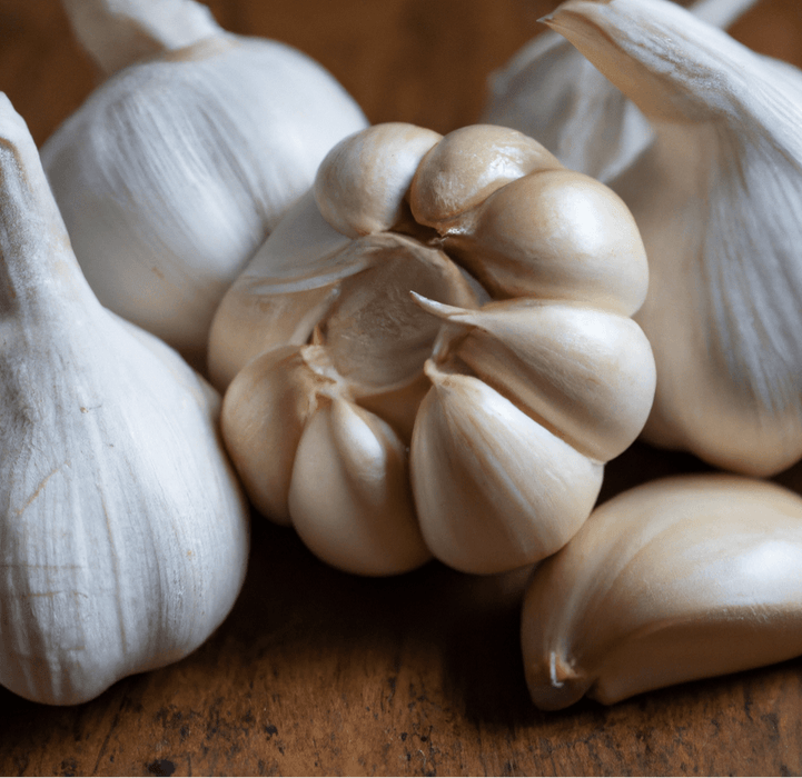 PREORDER Organic German White Garlic (lb)