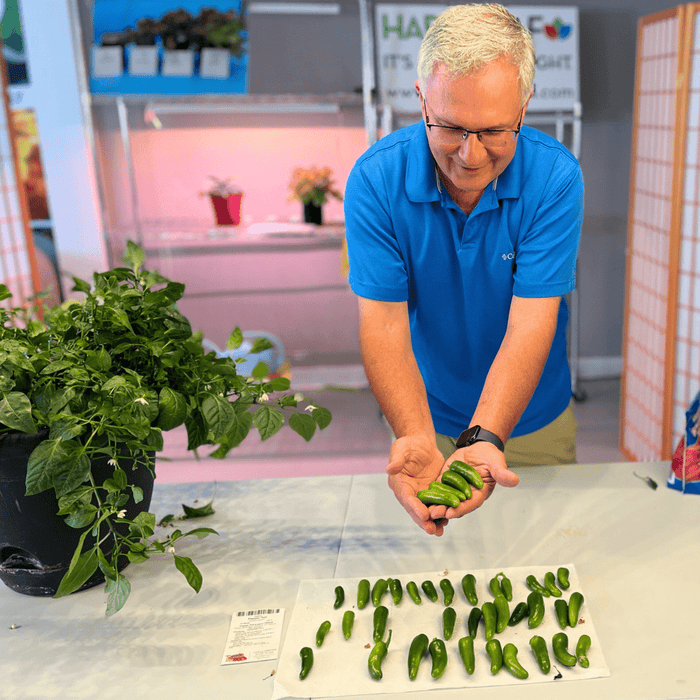 Procyon 2.0 – Full Spectrum LED Grow Lights