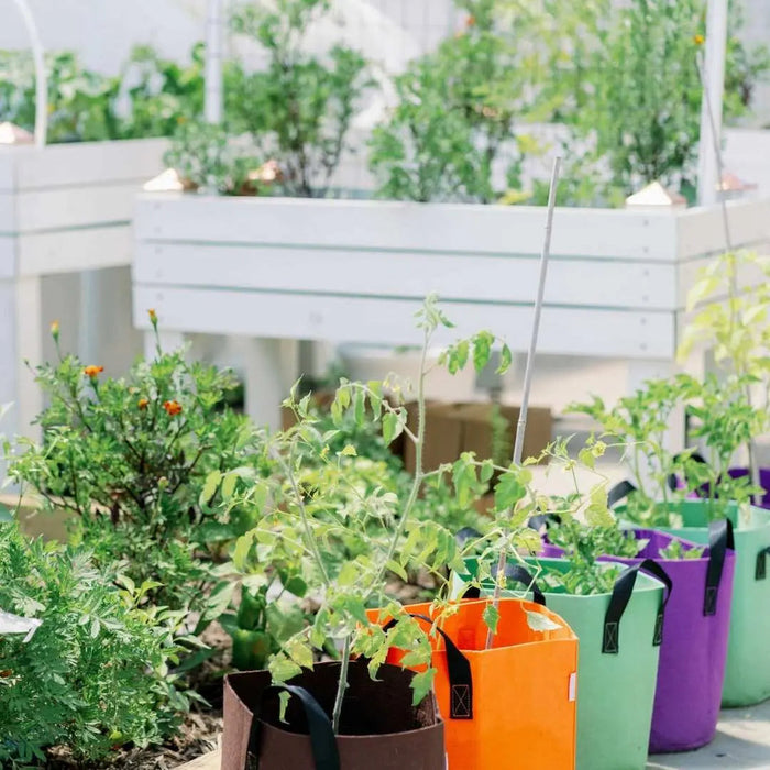 Grow Bags - 7 Gallon Colored Fabric Pots