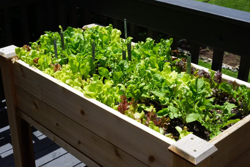 Elevated Cedar Raised Bed Planter