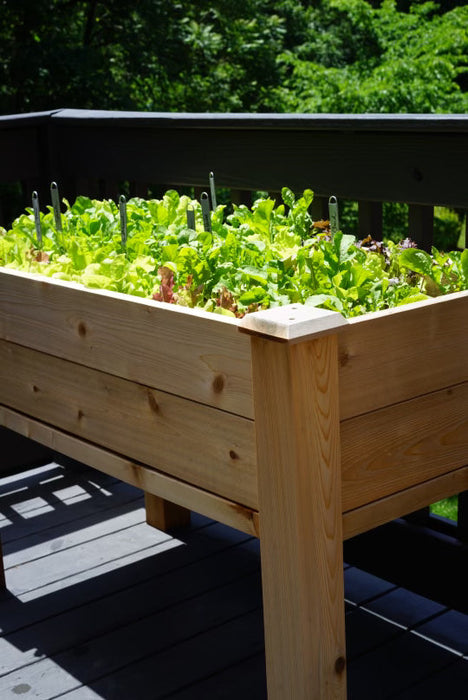 Elevated Cedar Raised Bed Planter
