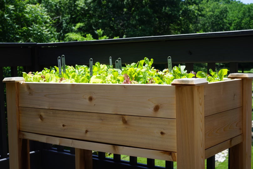 Elevated Cedar Raised Bed Planter