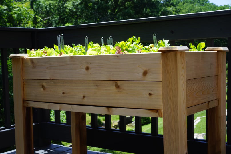 Elevated Cedar Raised Bed Planter