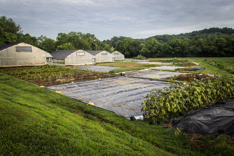 Silage Tarp