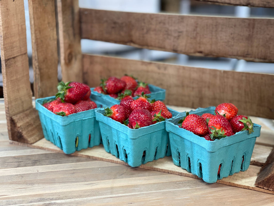 PREORDER: Southern Strawberry Bundle. (Zones 8-10)