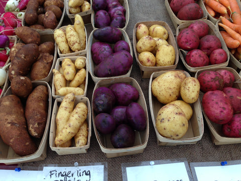 Adirondack Blue Potato