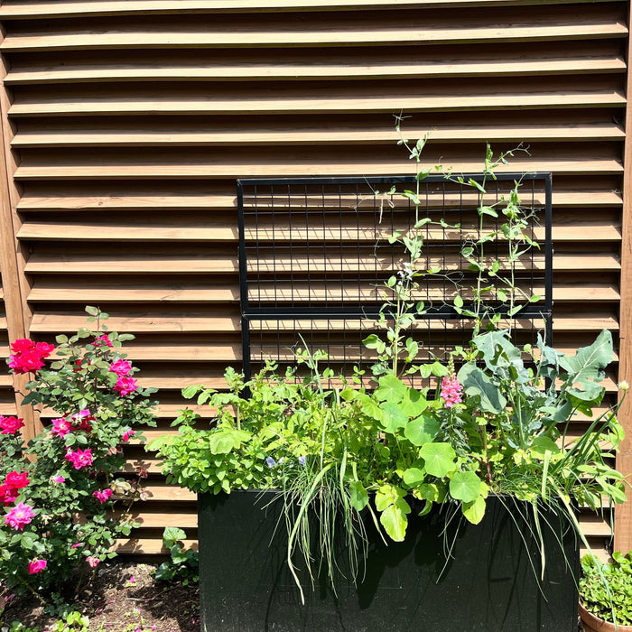 Black Aluminum Raised Bed with Trellis – Optional Casters