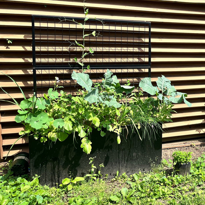 Black Aluminum Raised Bed with Trellis – Optional Casters