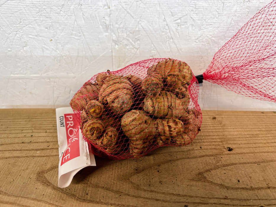 Florida Red Turmeric