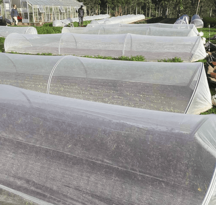 InsectaNet - Insect Protection Netting