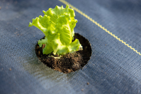 Quick-Plant Fabric — Weed Barrier