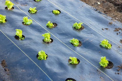 Quick-Plant Fabric — Weed Barrier