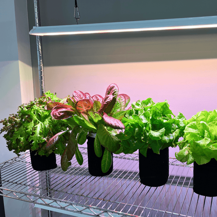 Procyon 2.0 – Full Spectrum LED Grow Lights