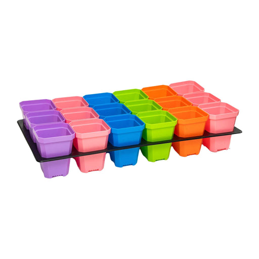 Colorful plastic seedling pots in a black tray. Square mini plant starter pots in purple, pink, blue, green, orange for gardening.