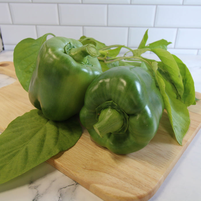 Emerald Giant Bell Pepper