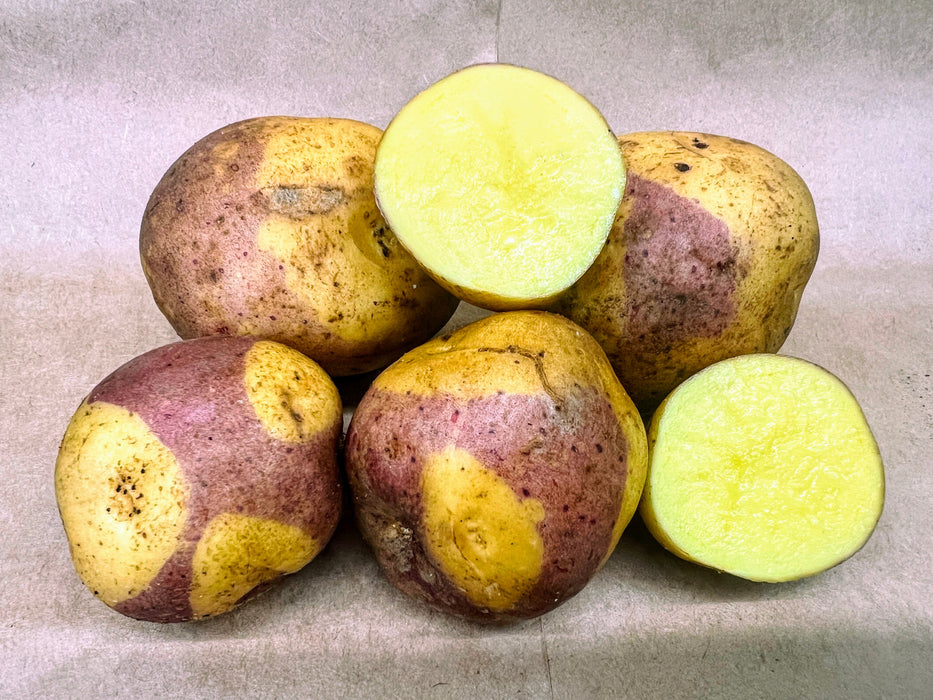 Masquerade Seed Potato