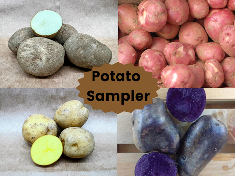 Potato Sampler