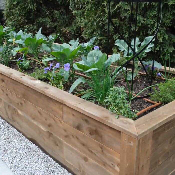 Eco Restore Wood Treatment